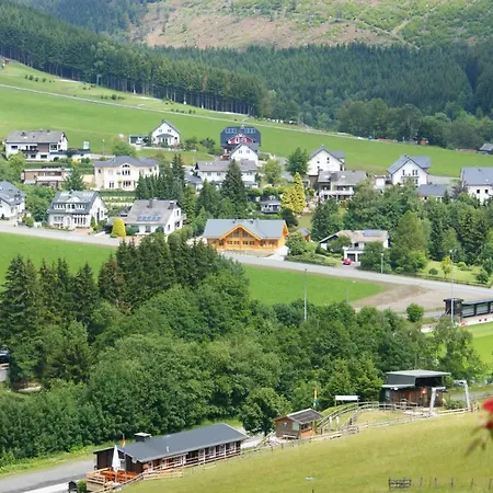 Luxus Blockhaus Willingen Sonnenhang A *